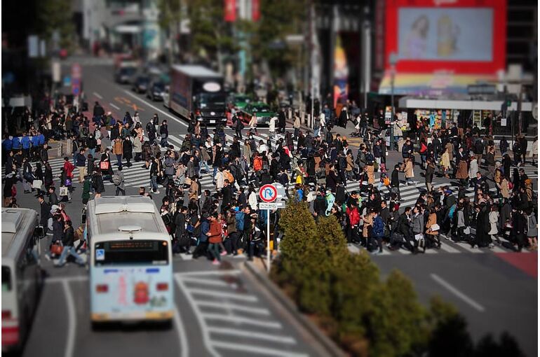 city-community-crossing-crosswalk