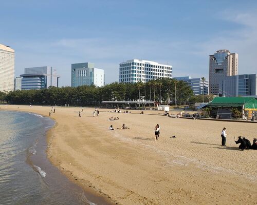 滋賀県探偵フランチャイズ福岡浮気調査