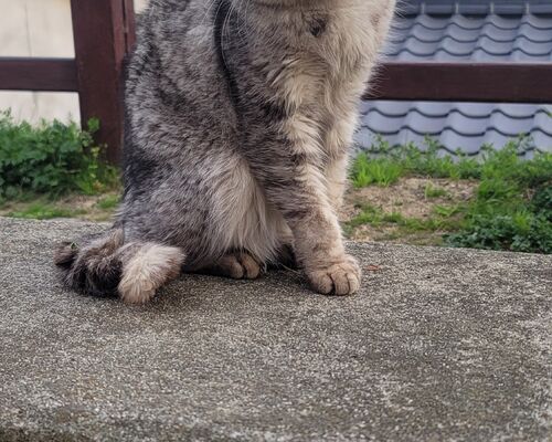 BOSSの風格漂う。。。