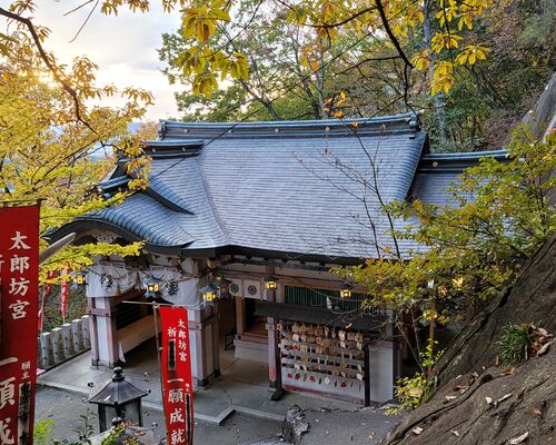 不倫裁判  調停離婚 勝負 お参り 依頼者さん祈願