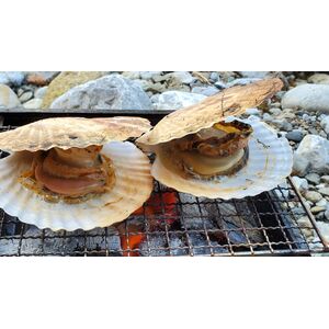 hands-money-bank-cash