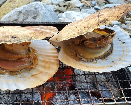 滋賀県探偵社 バーベキューBBQ調査