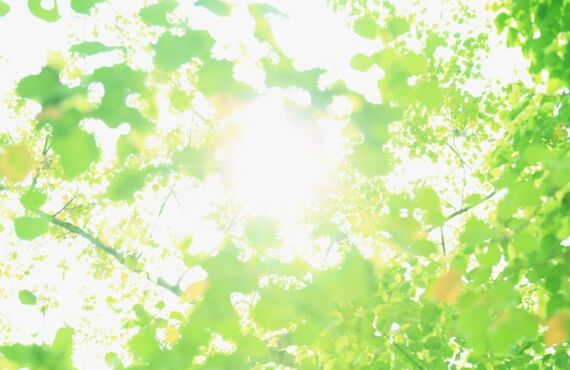 三重県の浮気不倫調査はSSSリサーチにお任せください。証拠力強い・調査費用安い。人探しは成功報酬制です。